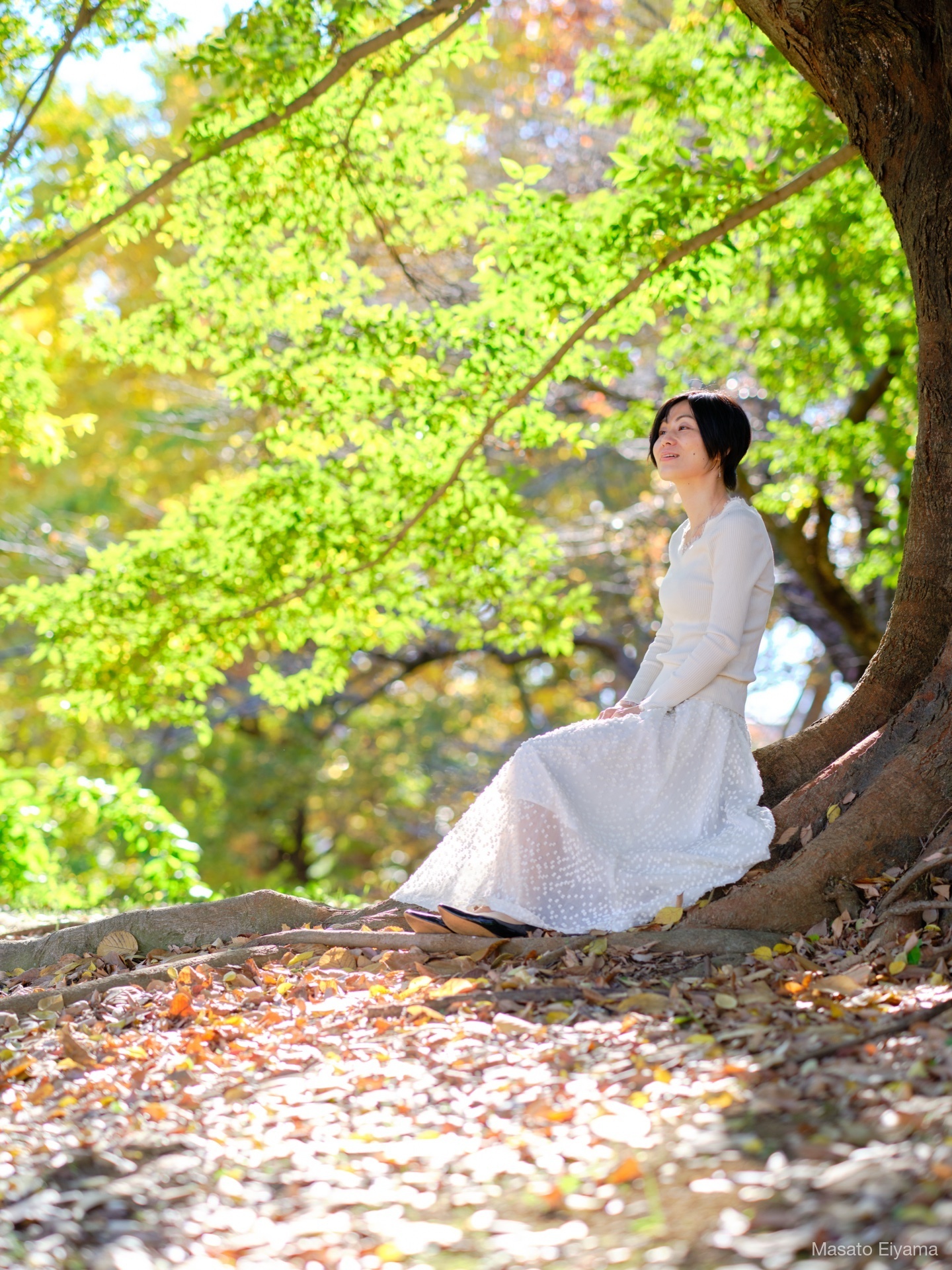 ポートレート撮影